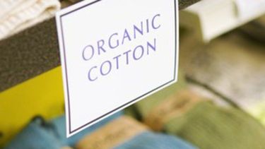 Debate: elegir prendas biológicas o naturales
