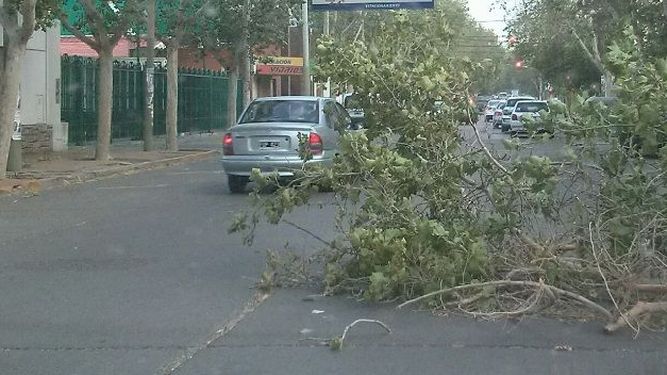 Por el viento 15 mil usuarios vieron afectado su servicio eléctrico