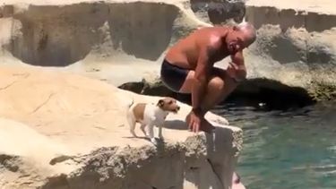El perro clavadista toma distancia en compañía de su dueño antes de realizar el salto.