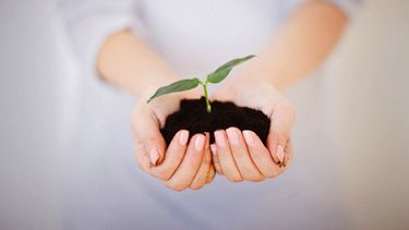 La próxima semana, capacitación para capital semilla