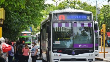 Con el Consejo Comunitario en marcha, hay más controles y cambios en la Red Tulum