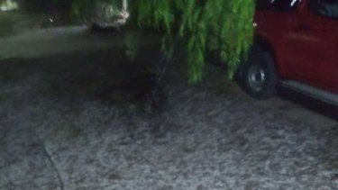 El granizo sorprendió en la madrugada en San Martín