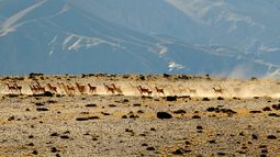 No te pierdas esta panorámica de la Reserva San Guillermo