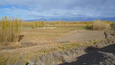 Puja por tierras entre iglesianos