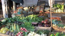 Mirá cuánto vale la fruta y la verdura en la feria de Capital