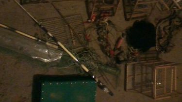 Recuperaron 4 aves de manos de cazadores furtivos