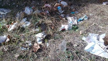 Operativo de limpieza en Capital por el día de la primavera