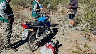 Flora y fauna: los operativos de conservación arrojaron resultados positivos