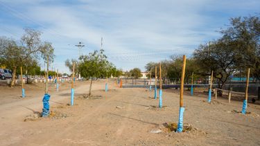 Por las dificultades que provoca la escasez de agua, en el paraje Difunta Correa implementan tres tipos de riego con el fin de reforestar.