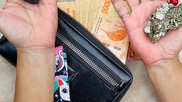 El color que tenés que poner en la billetera para atraer dinero y abundancia en 2026