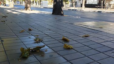 Atención porque este viernes se viene un fuerte viento Sur: mirá desde qué hora