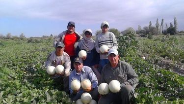 Tras las tormentas, los meloneros tendrán su festival