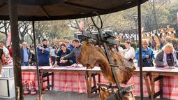 La gastronomía sanjuanina la rompió en Buenos Aires