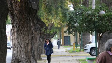 Clima agradable hasta el viernes: vuelve el frío y la lluvia