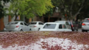 A sacar la camperita: llegó la lluvia y la temperatura descendió a 20º