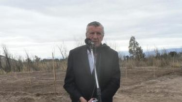 Forestaron 4 kilómetros a lo largo del Río San Juan