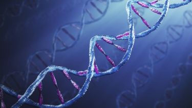 Curso de Bioética para médicos residentes del equipo de salud