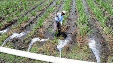 Este viernes, charla sobre riego en Jáchal