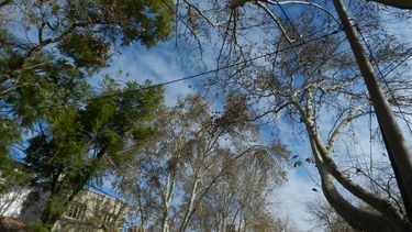 Se viene un revolucionario sistema de riego