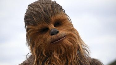 El bebé Chewbacca es sanjuanino y la rompe en las redes: mirá las impactantes fotos