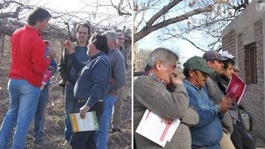 Unos 150 productores se capacitaron en técnicas para combatir la Polilla de la Vid