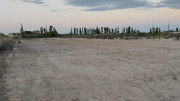 Imagen ilustrativa. Imagen ilustrativa.