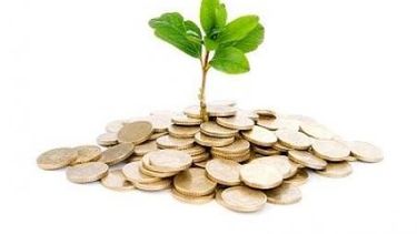 Arranca el capital semilla en Rawson