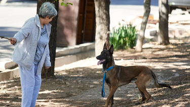 Los sanjuaninos, a favor de endurecer las multas a quienes no cumplen con la tenencia responsable de mascotas
