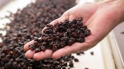 Las otras actividades impulsadas en el Argentina Week: mosto, pasas de uva y aceite de oliva Las otras actividades impulsadas en el Argentina Week: mosto, pasas de uva y aceite de oliva