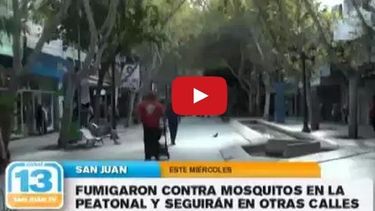 Guerra al mosquito: Fumigaron la Peatonal