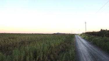 La historia del litigio judicial en Rawson por un parque natural