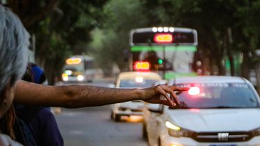 Para los sanjuaninos ¿cómo manejan los colectiveros?