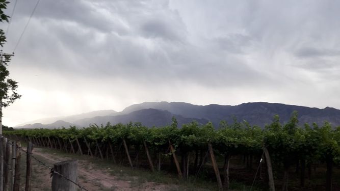Lanzan alerta por la llegada del Sur y ¿lluvias?