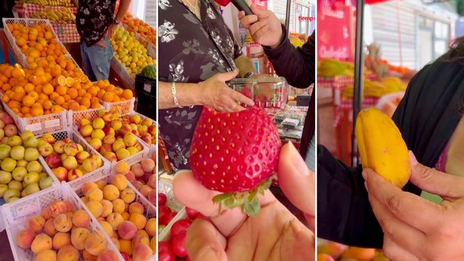 La fruta que sólo podés conseguir fresca en Chile y qué precios tienen en las verdulerías