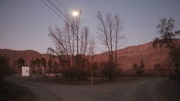 A un mes del desastre, el Parque Sarmiento vuelve a la vida con los primeros rebrotes