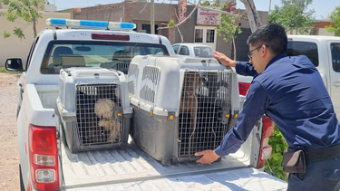 La Policía Ecológica vela por el bienestar de mascotas y la fauna en general.