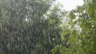 Cómo quedaron los departamentos después de la lluvia