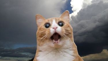 ¿Con frente frío?: así estará el tiempo este sábado