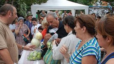 Atención vecinos, llega “Frutas y Verduras” a Chimbas
