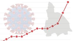 Coronavirus en San Juan: mirá en cuánto tiempo se duplicaron los casos