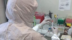 Coronavirus en San Juan: mientras en el país no afloja, la Provincia resiste
