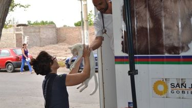 ¿Dónde estará el tráiler de castración de mascotas?