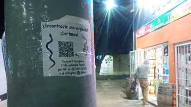 El cartel que busca serpientes en San Juan fue creado por una estudiante de Biología.
