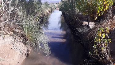 En Calingasta se calienta el debate por el estado de los canales de riego