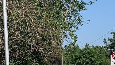 Fotos: caos, embotellamiento y choque en la Circunvalación