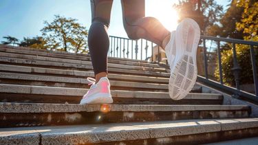 Zona cero: cómo los movimientos cotidianos mejoran la salud, el ánimo y la longevidad