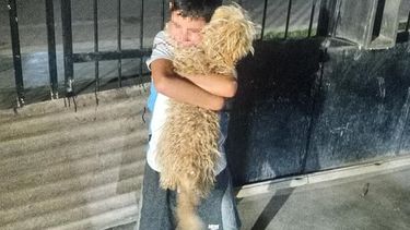 El reencuentro más esperado: Lautaro, el niño con autismo, recuperó su compañera Canela