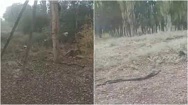 ¡El granizo regresó a San Juan! El video de la lluvia y la piedra en el Norte de la provincia