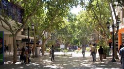 Atención conductor, liberarán el estacionamiento dos días: dónde y por qué