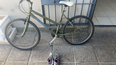 La bicicleta y las zapatillas que fueron robados y, posteriormente, entregados a su dueño. La bicicleta y las zapatillas que fueron robados y, posteriormente, entregados a su dueño.